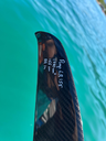 155LR-POINTE.webp