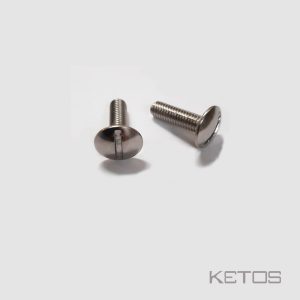 Screw for footstrap on Ketos board