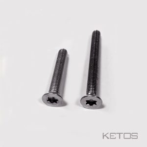 Screw Pack60 / mast 2 side inox A4 Torx