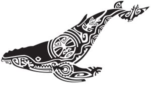 2023 marine mammal Maori limited édition