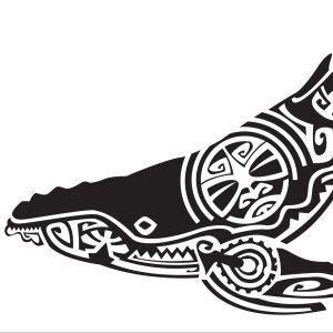 série limitée mammifères marin Maori 2023
